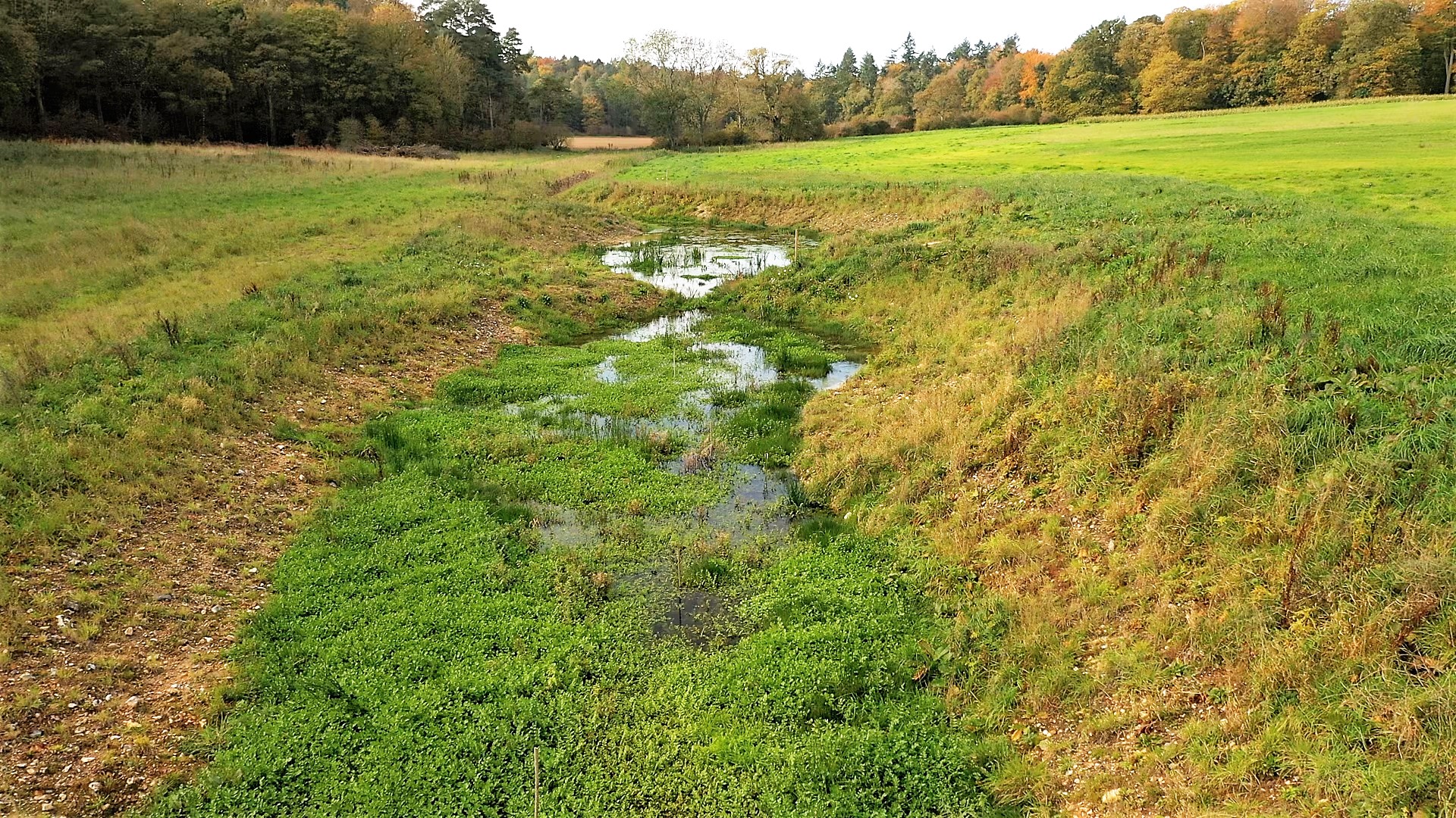 World Wetlands Day: Water Sensitive Farming receives renewed backing