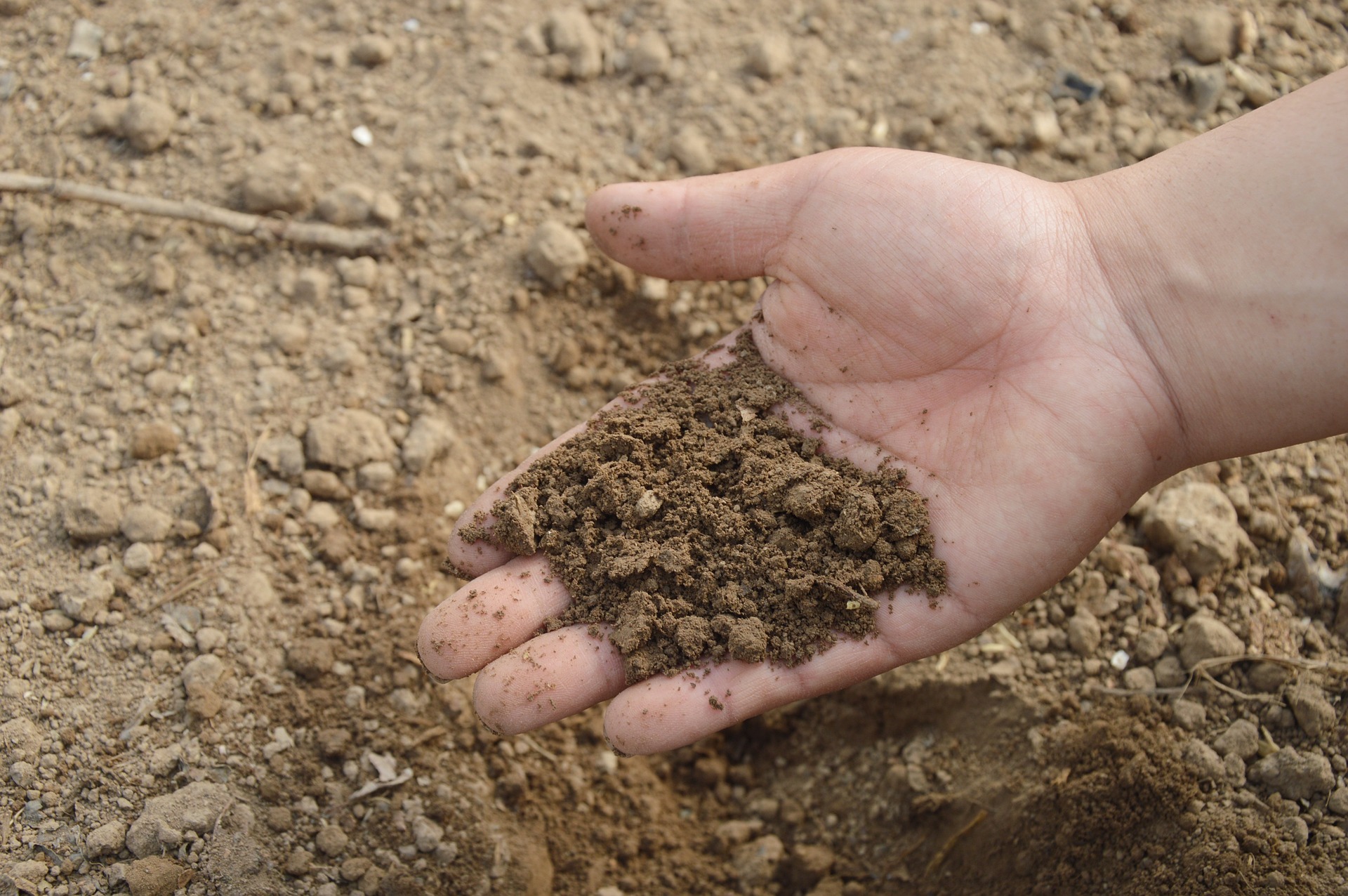 Improving Soils for Resilience
