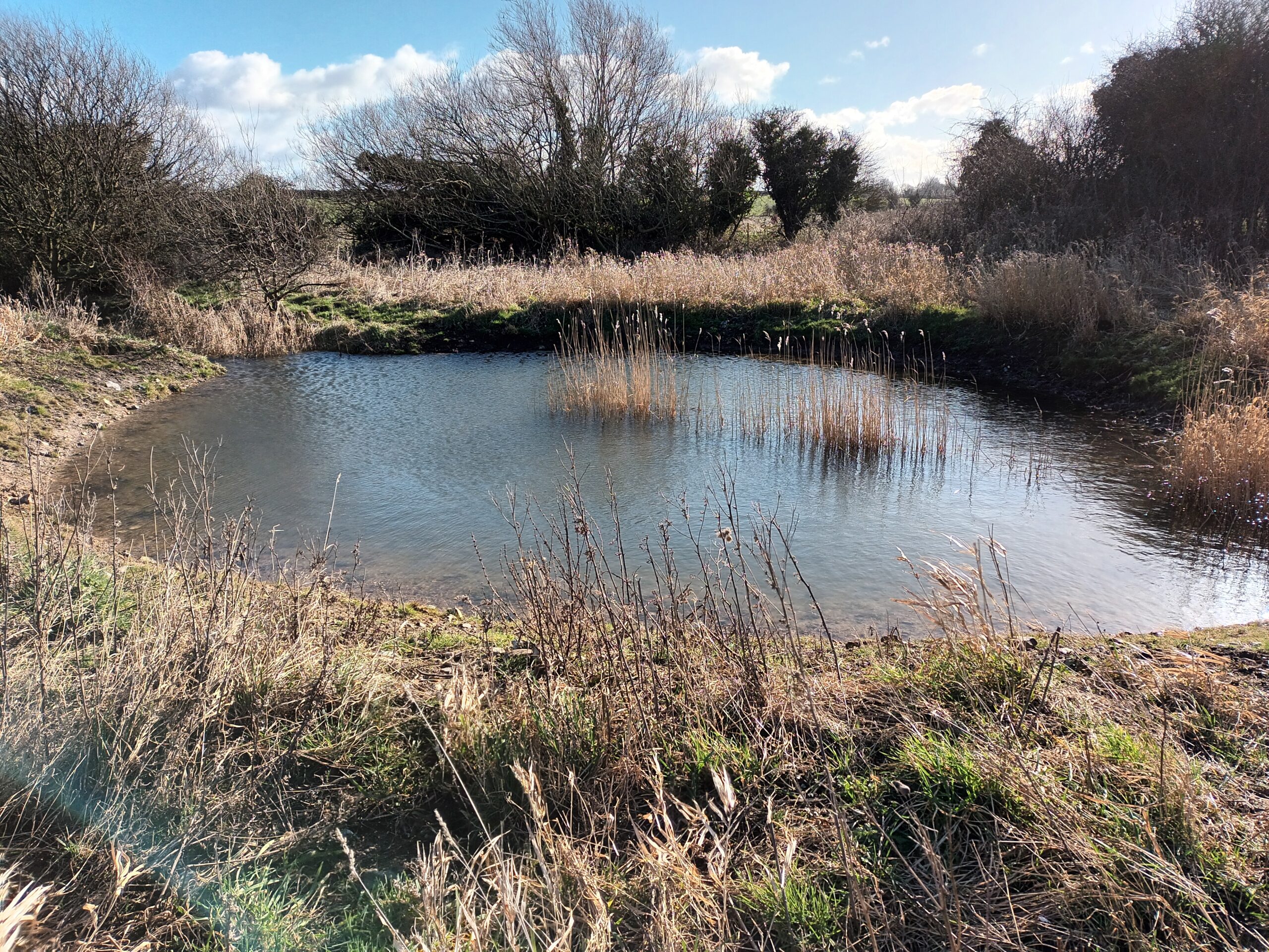 Norfolk Rivers Trust | Norfolk’s Two Chalk Rivers – Restored ...