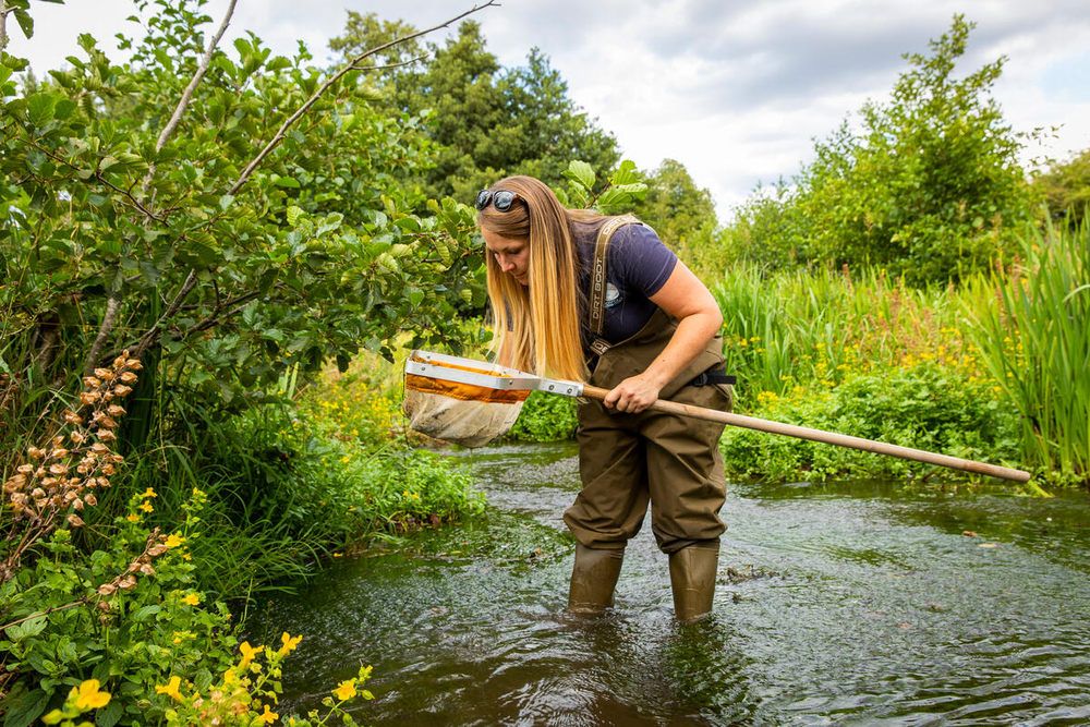 Norfolk Rivers Trust | North Norfolk Catchment Partnership