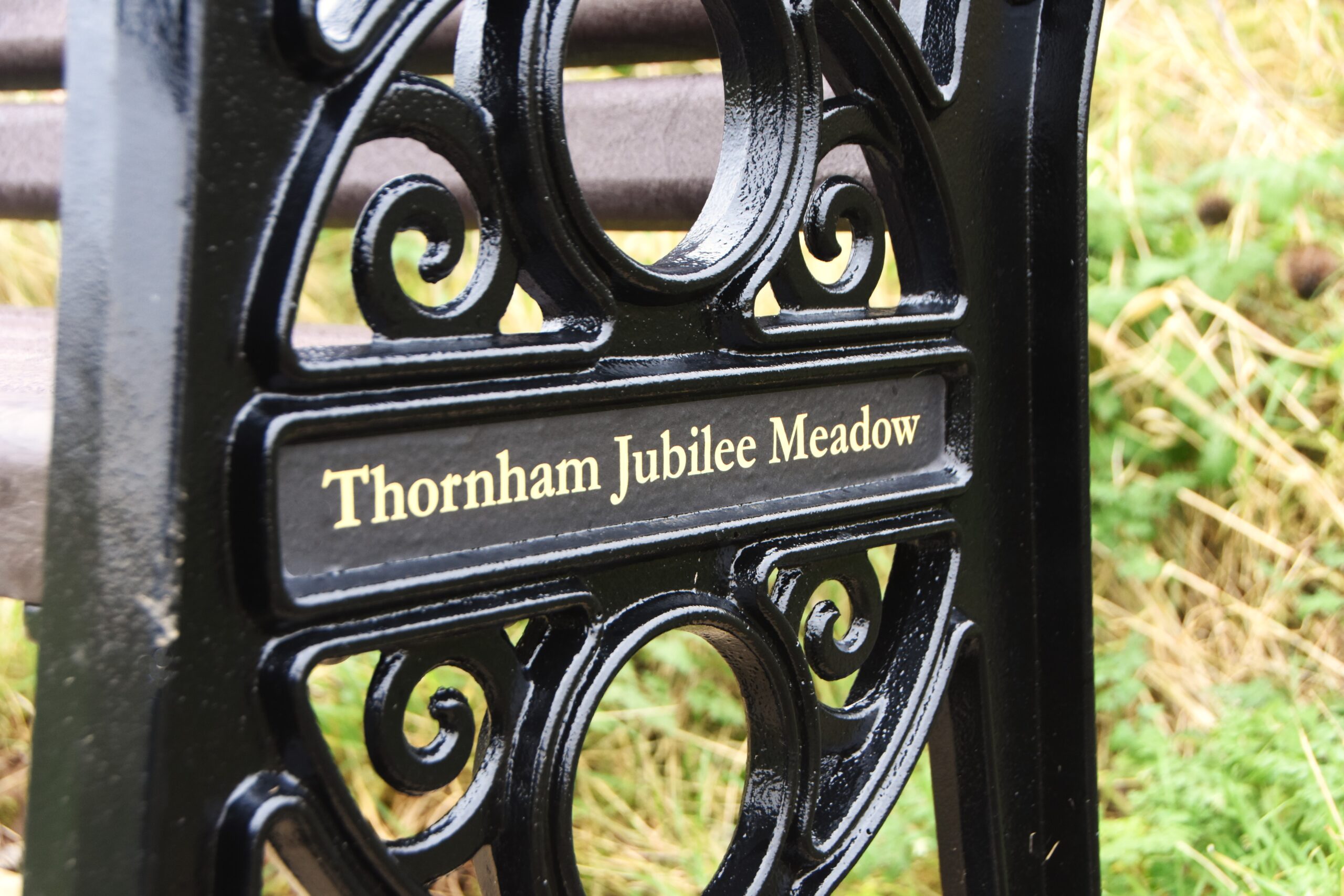 Transforming Thornham Jubilee Meadow