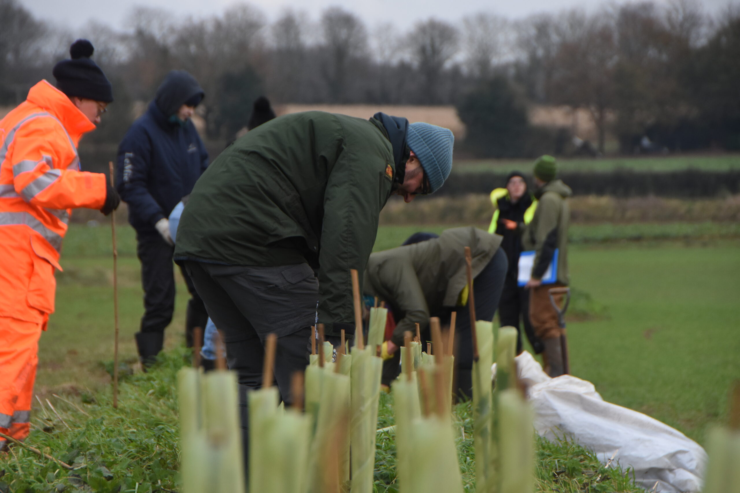 Ingworth Hedge Planting