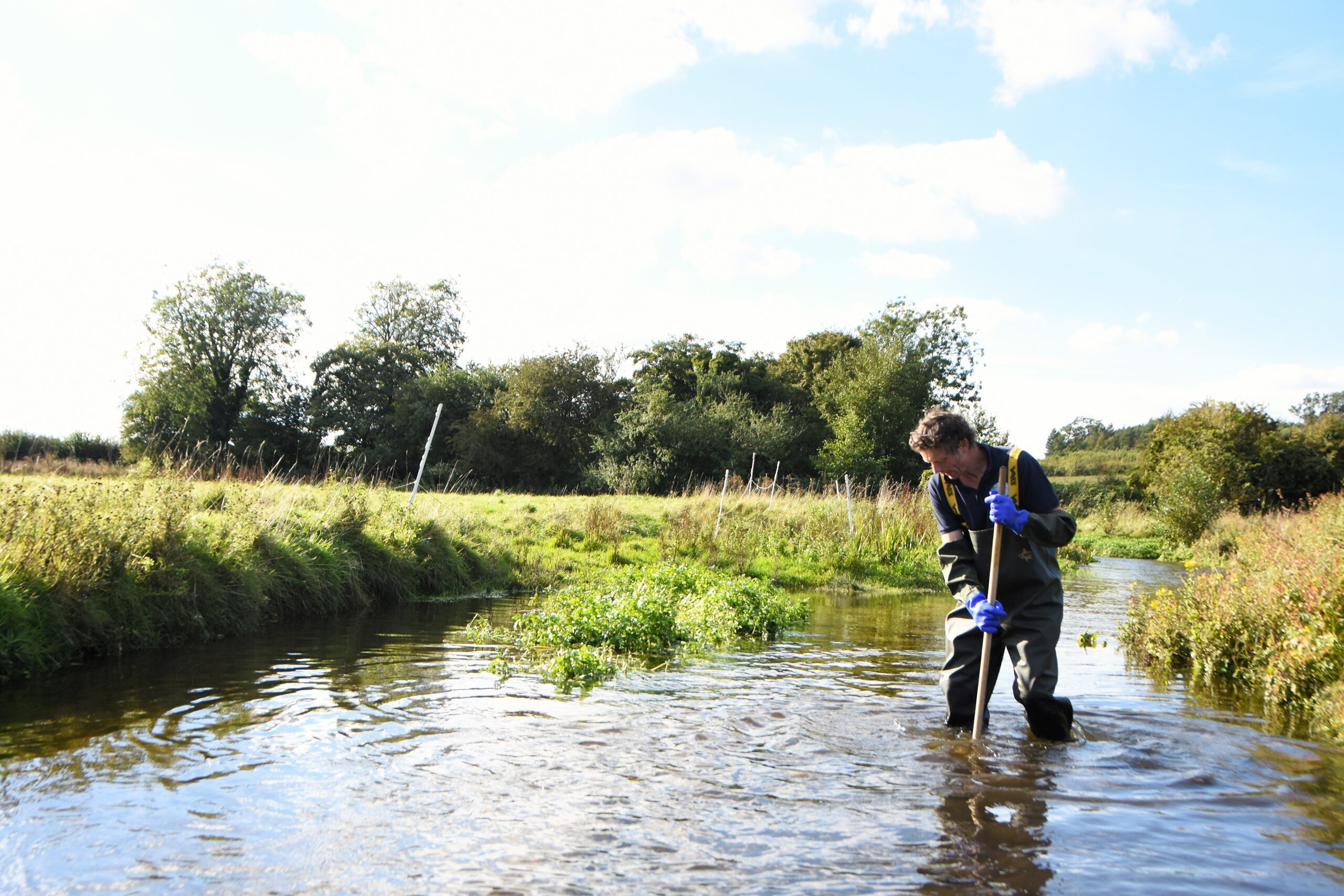 Riverfly monitoring