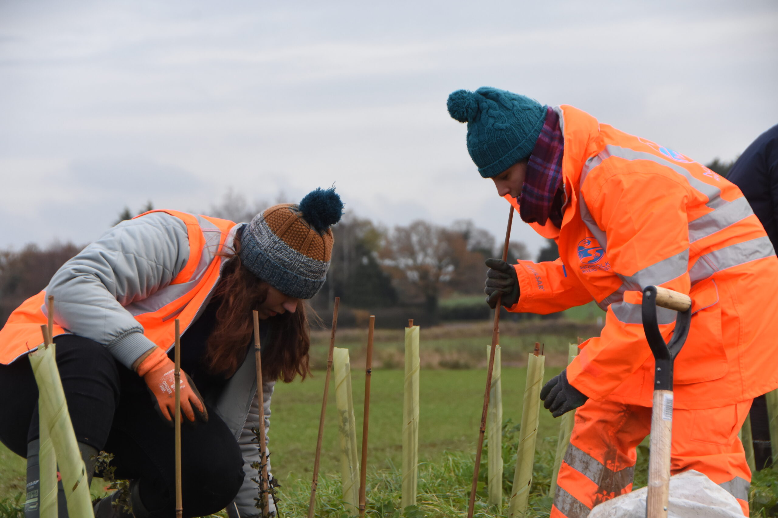 Ingworth Hedge Planting