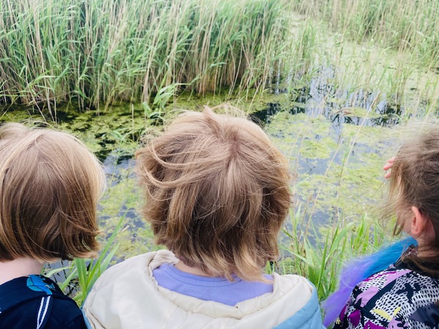 Norfolk Rivers Trust, WWF and Aviva launch fund to support community groups to  access nature