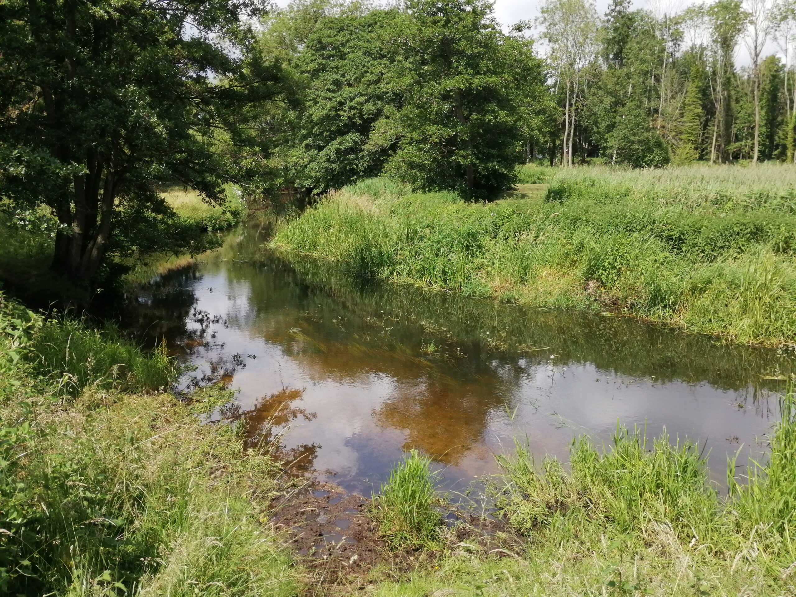 Managing the margins: a guide to riparian land