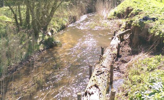 Norfolk Rivers Trust | River Wissey