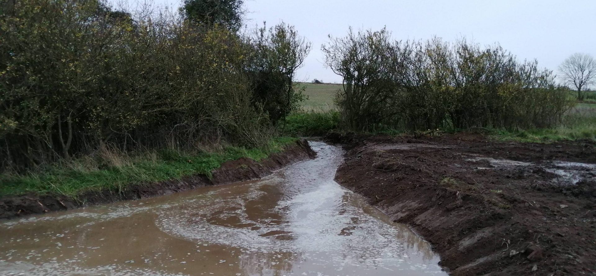 Norfolk Rivers Trust | Creating a diverse and complex habitat to slow ...