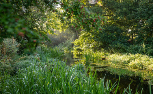 Norfolk Rivers Trust | River Nar