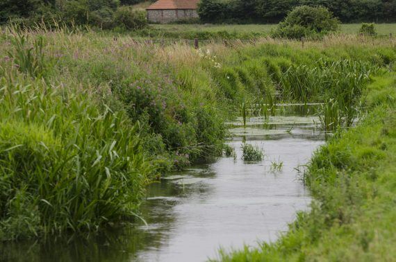 Norfolk Rivers Trust | River Stiffkey